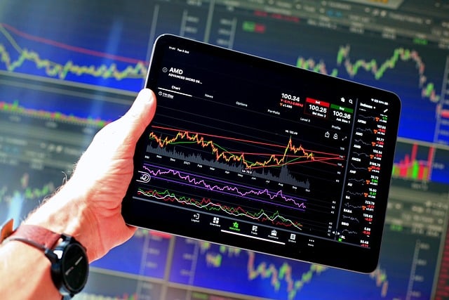 Professional analyzing international tax data Dauds Advisory expertise